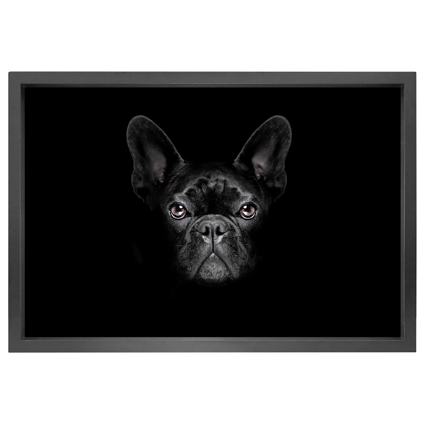 Canvas picture 5cm black frame dog Homefactory