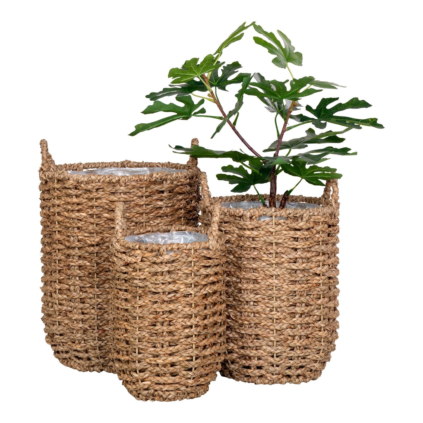 Plantekurvsett med 3