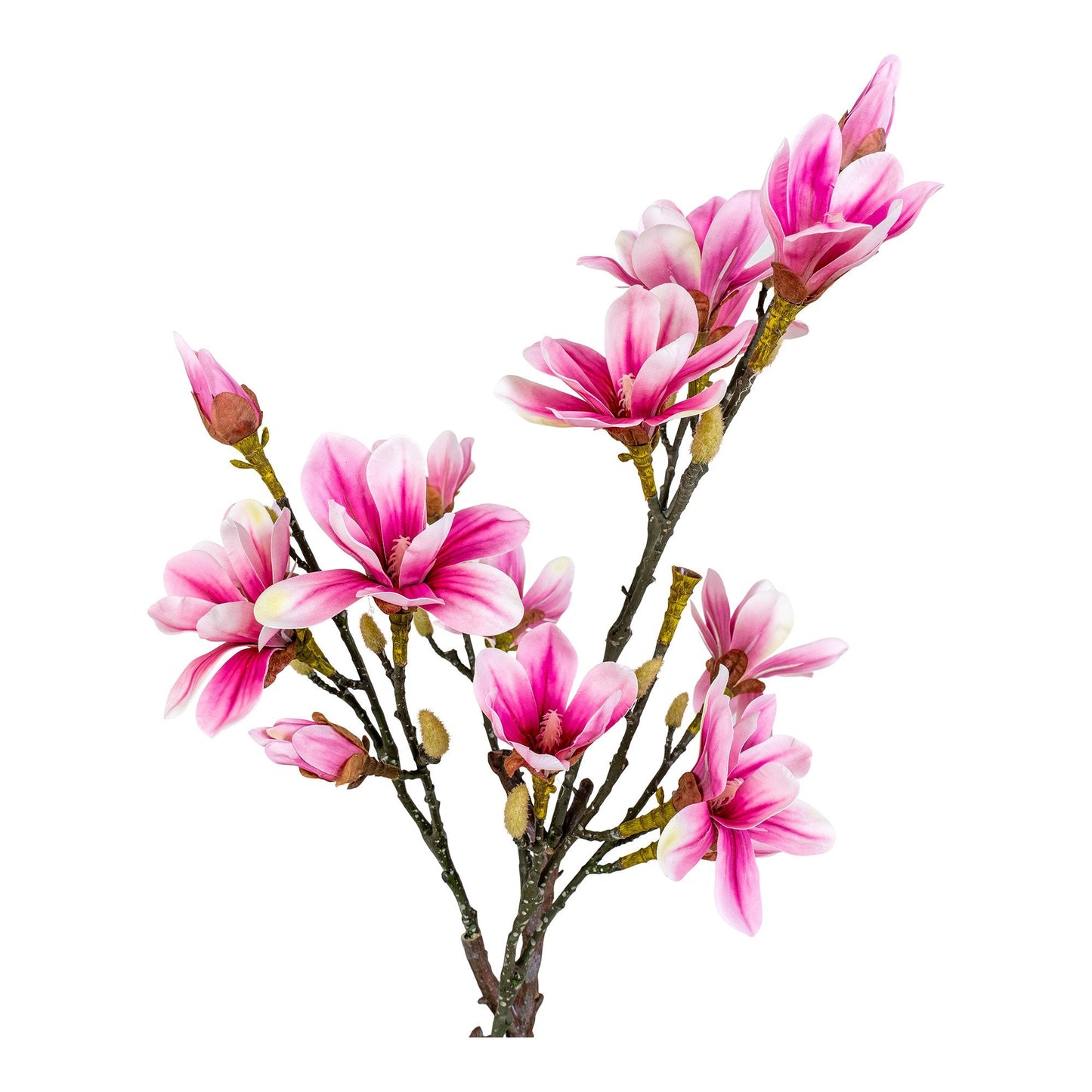 Magnoliatre