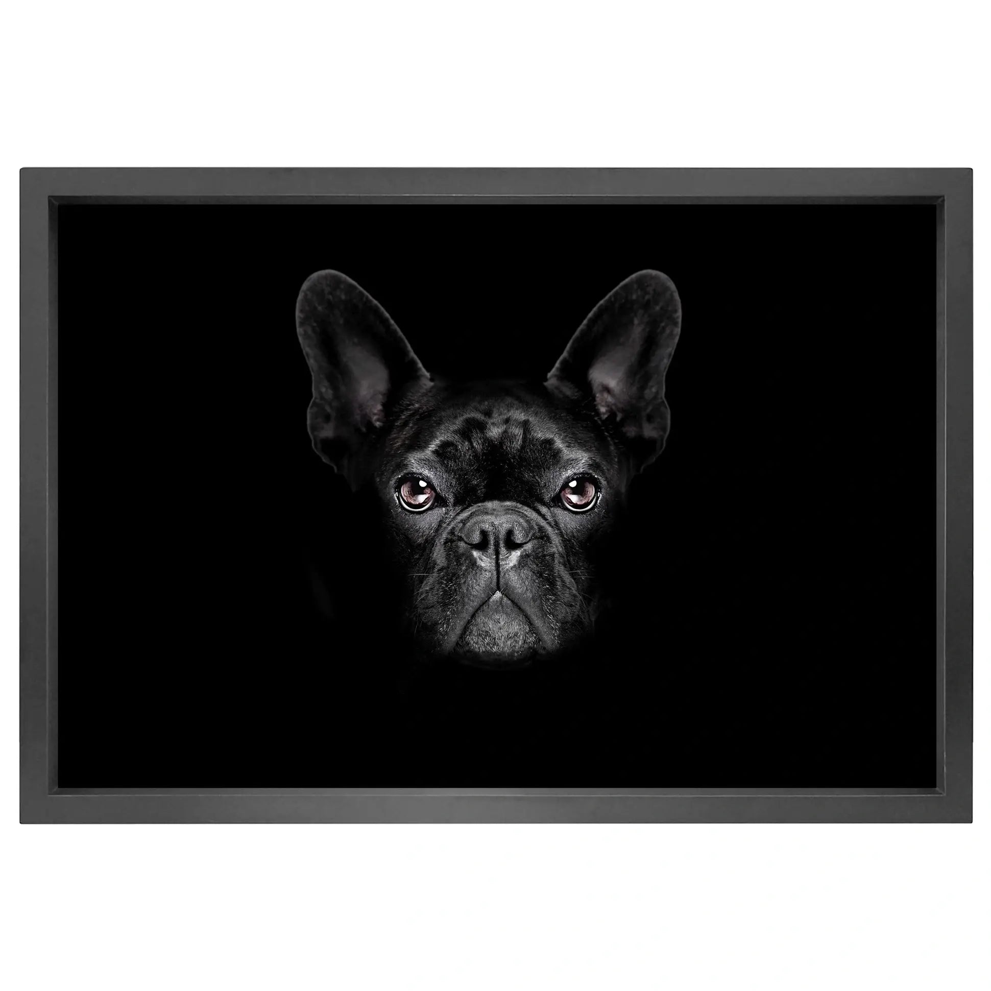Canvas picture 5cm black frame dog Homefactory