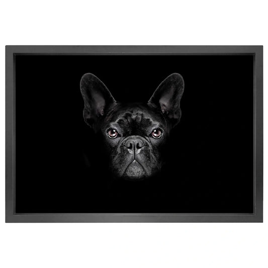 Canvas picture 5cm black frame dog Homefactory