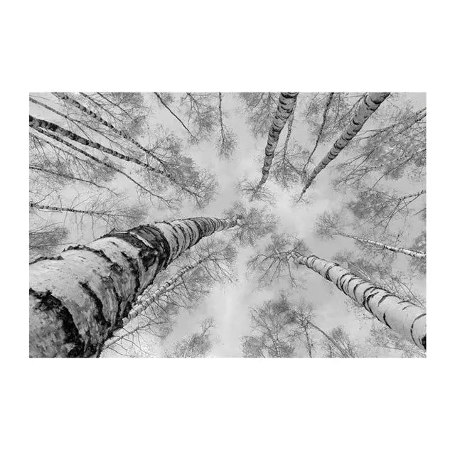 Glass picture birch forest Homefactory