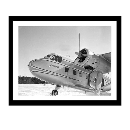 Glass picture w/frame fjellfly - -Homefactory -Nordstrand Møbler og Interiør