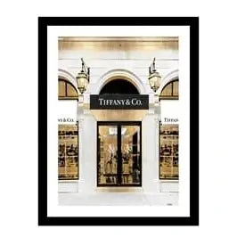 Glass picture w/frame Tiffany & Co Homefactory