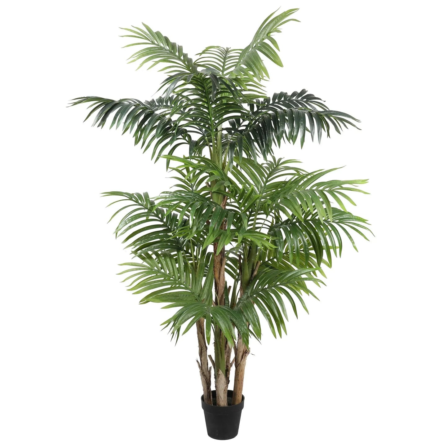 Exclusive Palm tree Homefactory
