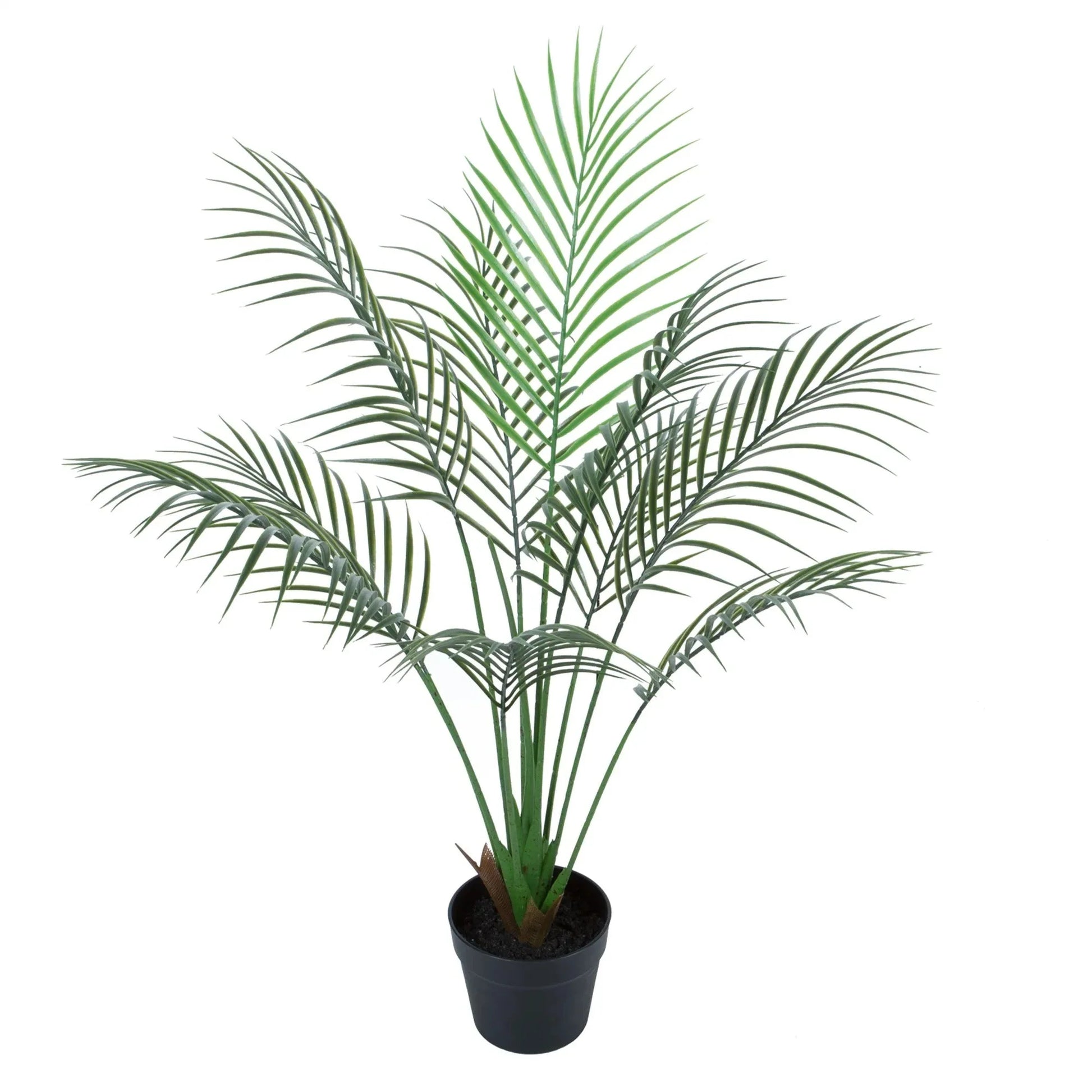 Premium touch Palm tree Homefactory