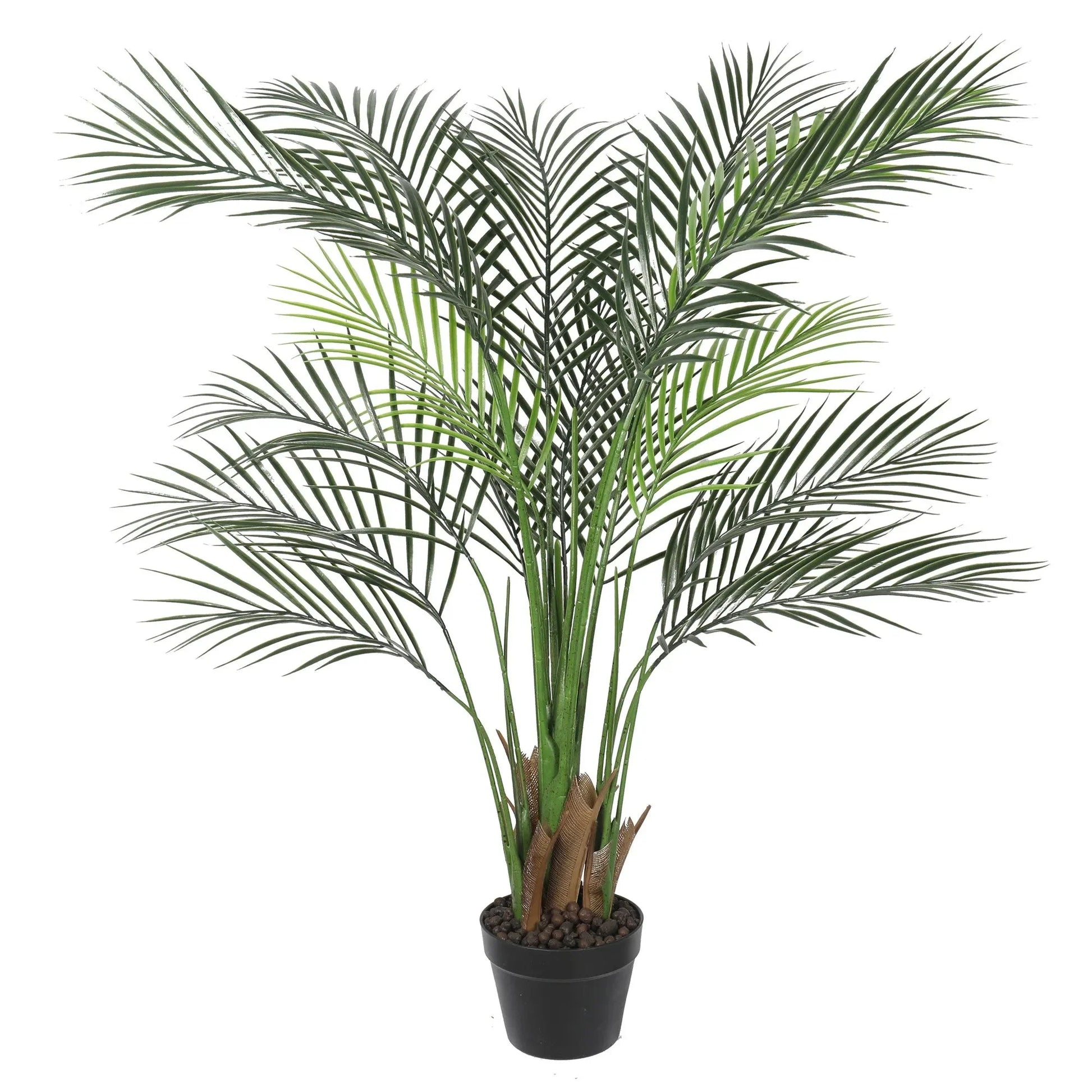 Premium touch Palm tree Homefactory