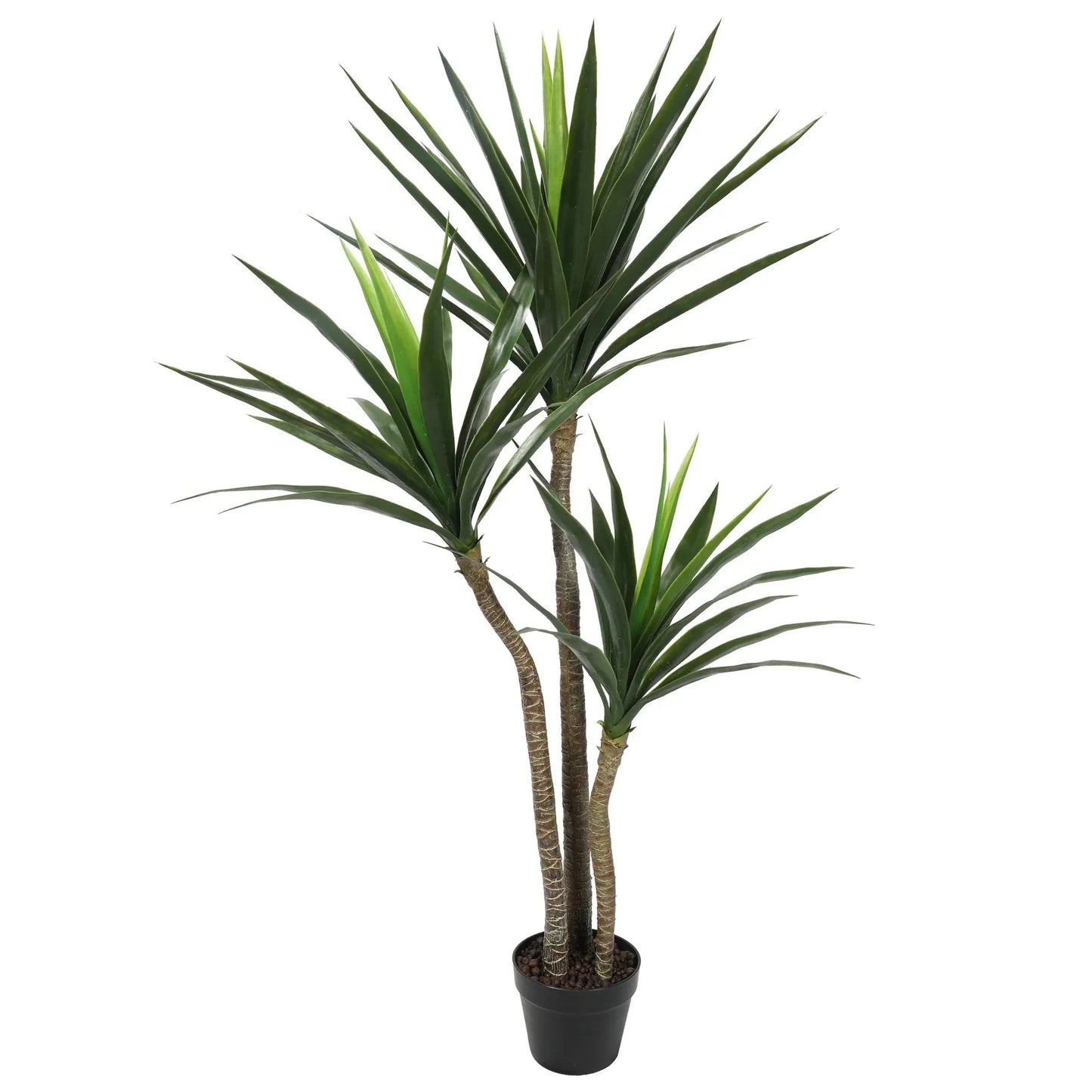 Yucca-palm Indoor Homefactory
