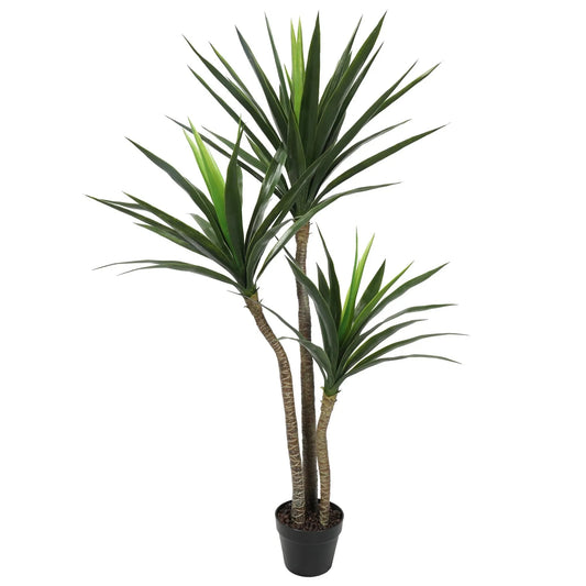 Yucca-palm Indoor Homefactory