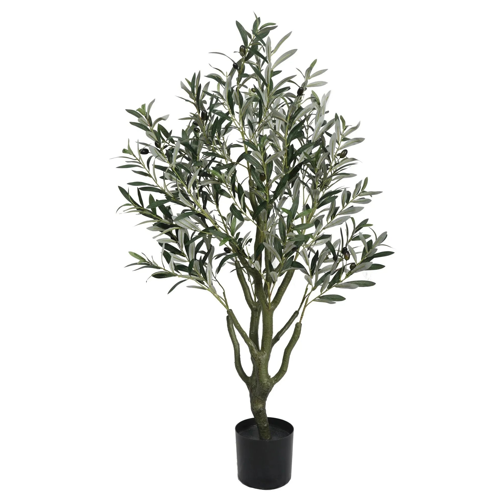 Olive tree with olives Homefactory