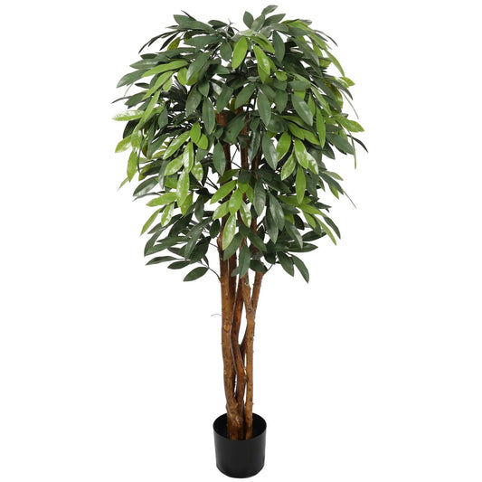 Premium Ficus Tree Homefactory