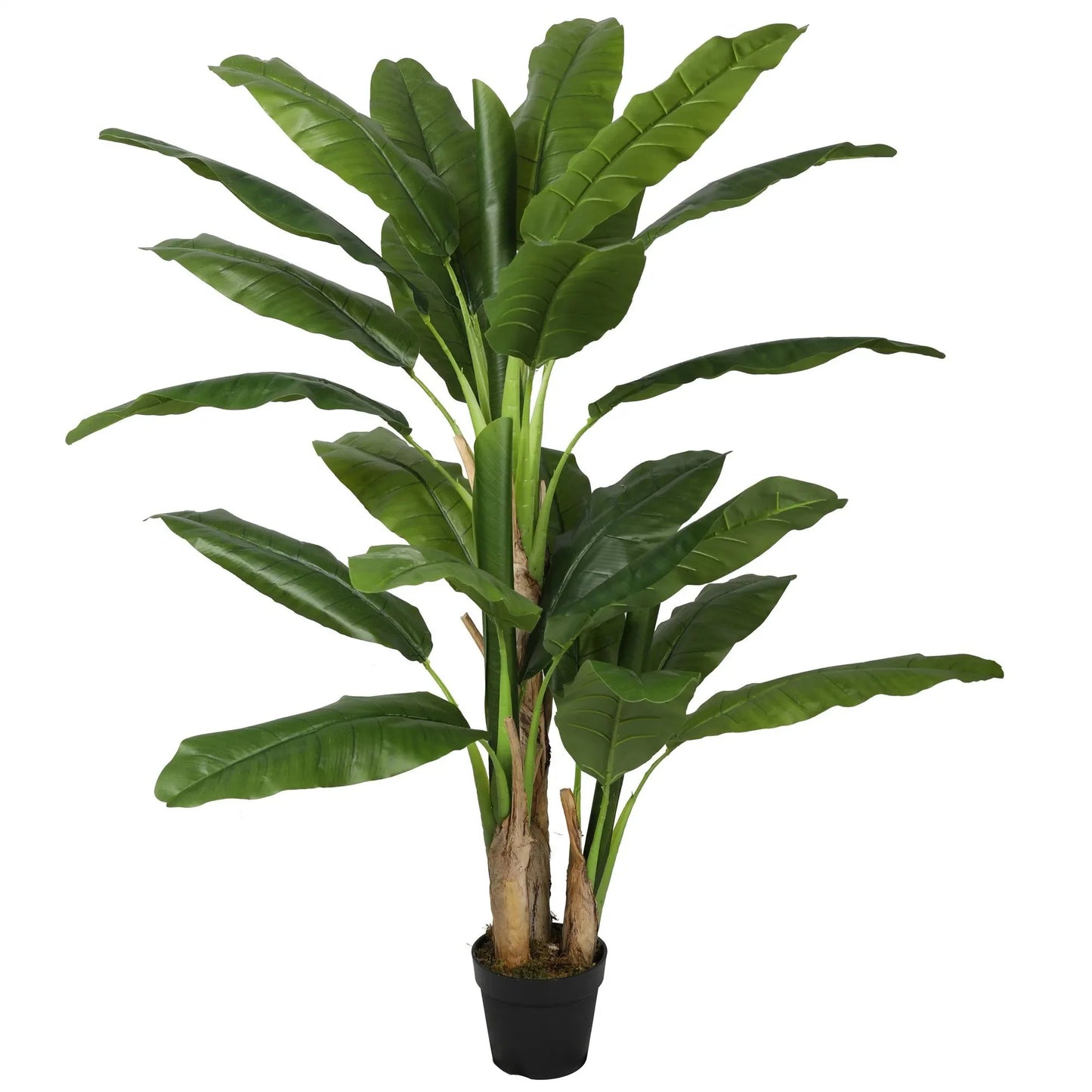 Banana tree Homefactory