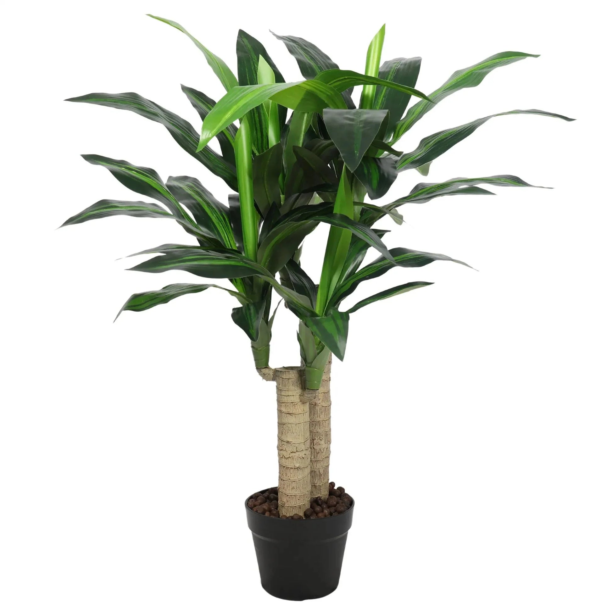 Premium Dracaena Tree Homefactory
