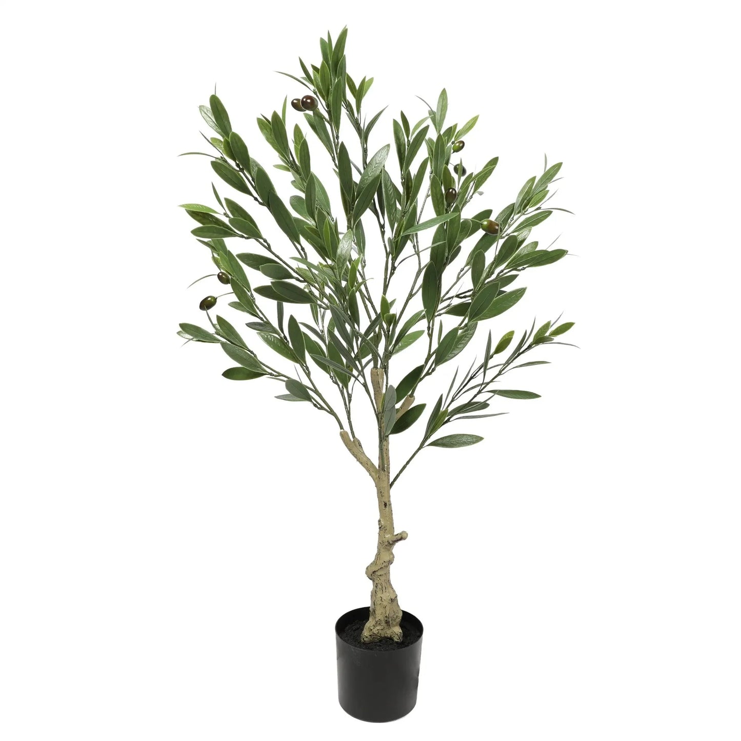 Olive Tree with Leaves Homefactory