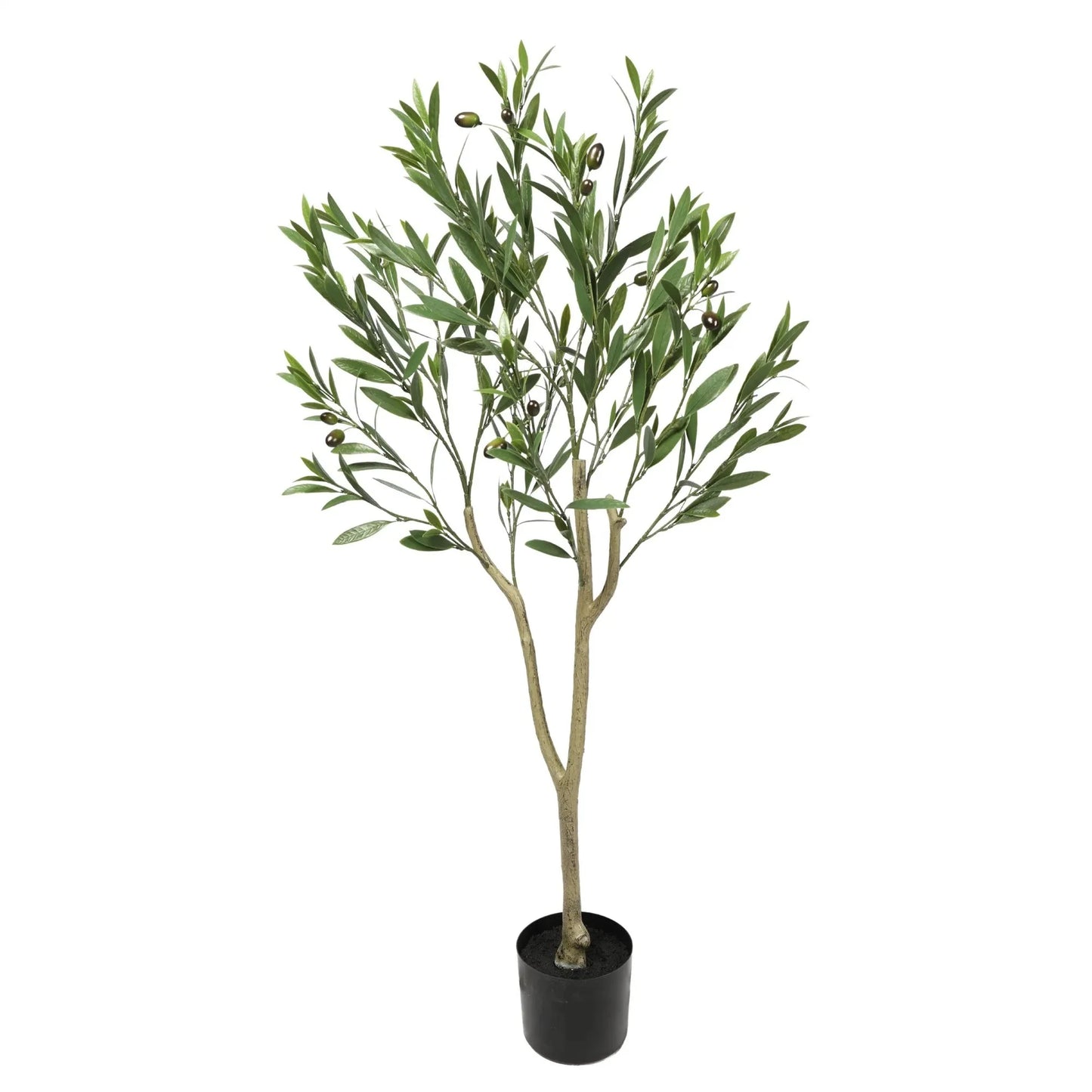 Olive Tree with Leaves Homefactory