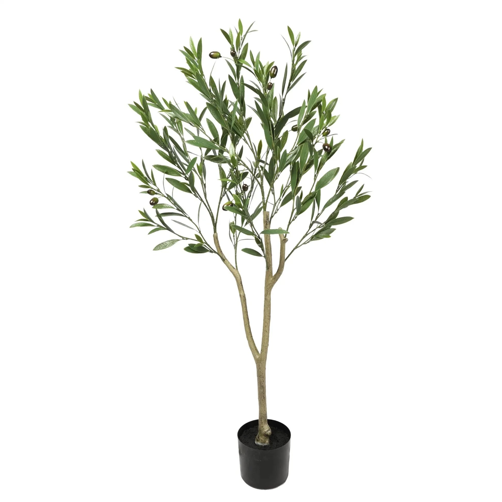 Olive Tree with Leaves Homefactory