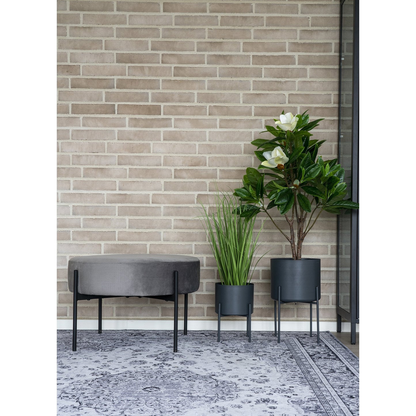 Havana Teppe 160x230