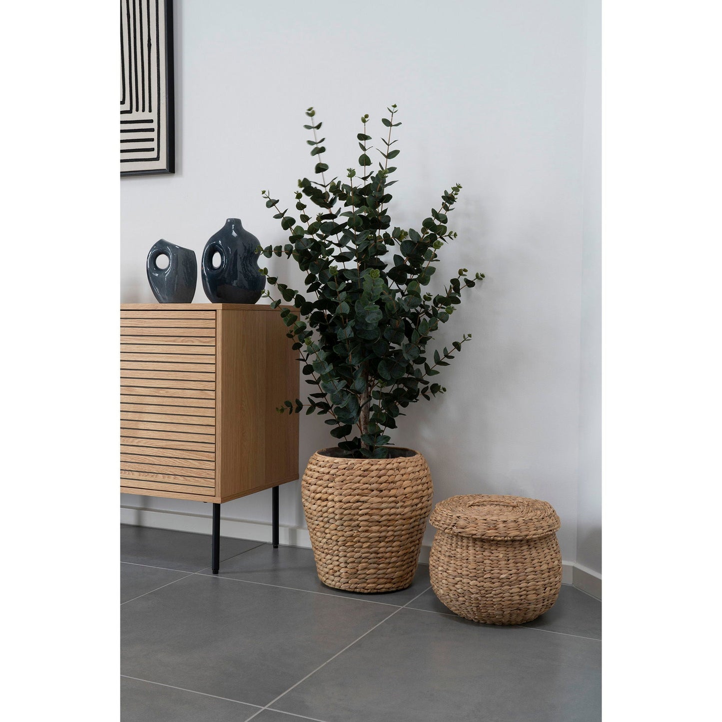 Eukalyptus tre