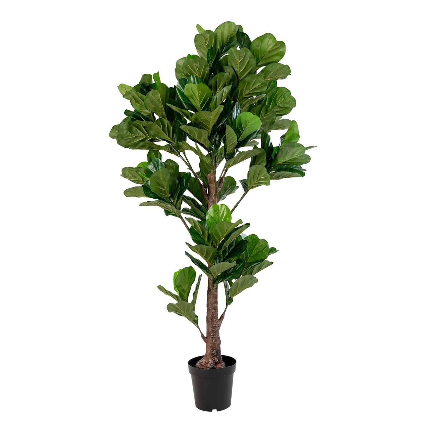 Fikentre