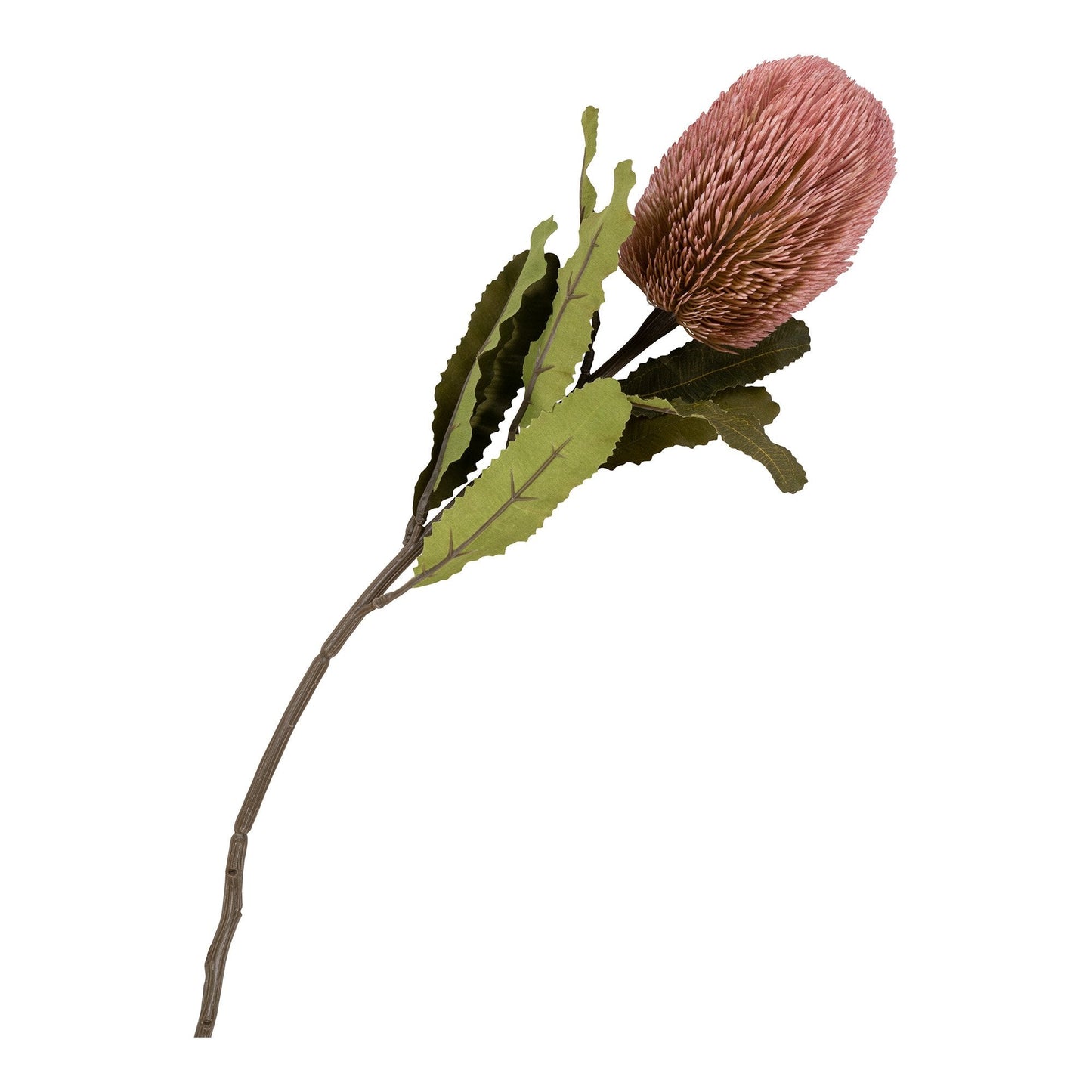 Kongeprotea Bukett
