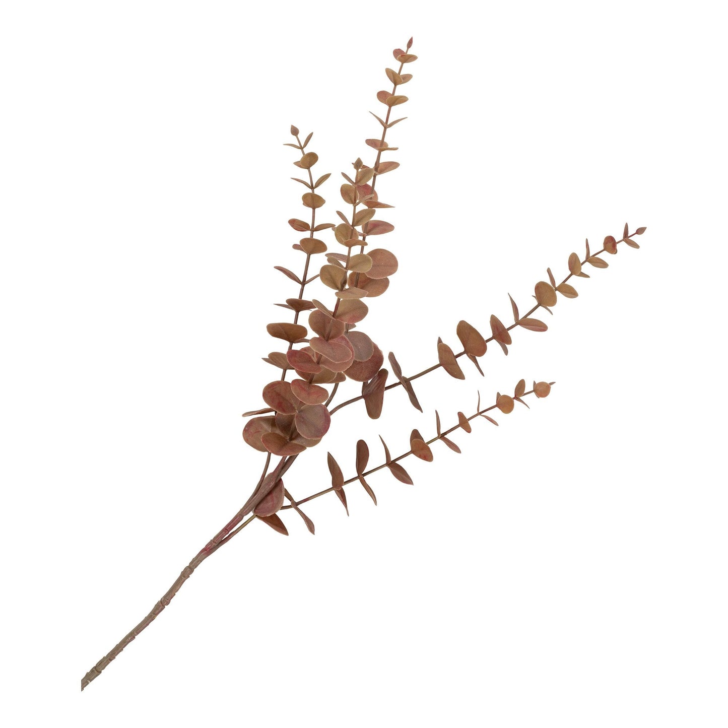 Kongeprotea Bukett